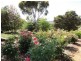 Lot 5 Willow Lane, Adelong NSW 2729