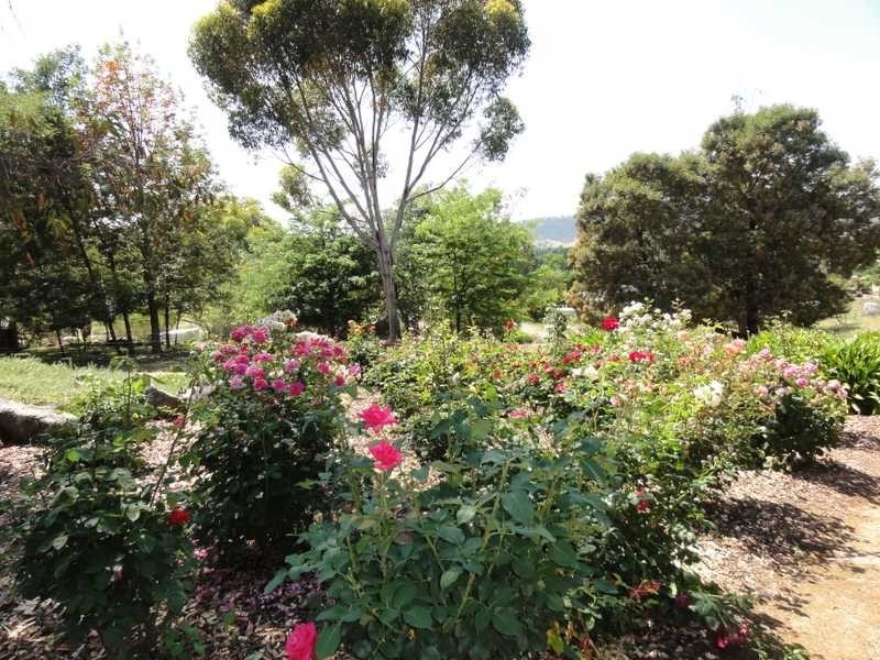 Lot 5 Willow Lane, Adelong NSW 2729
