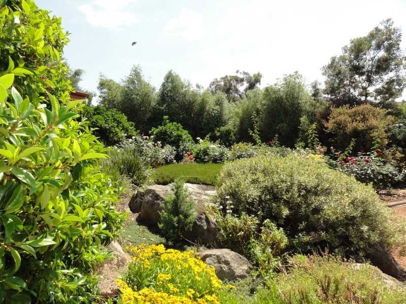Lot 5 Willow Lane, Adelong NSW 2729