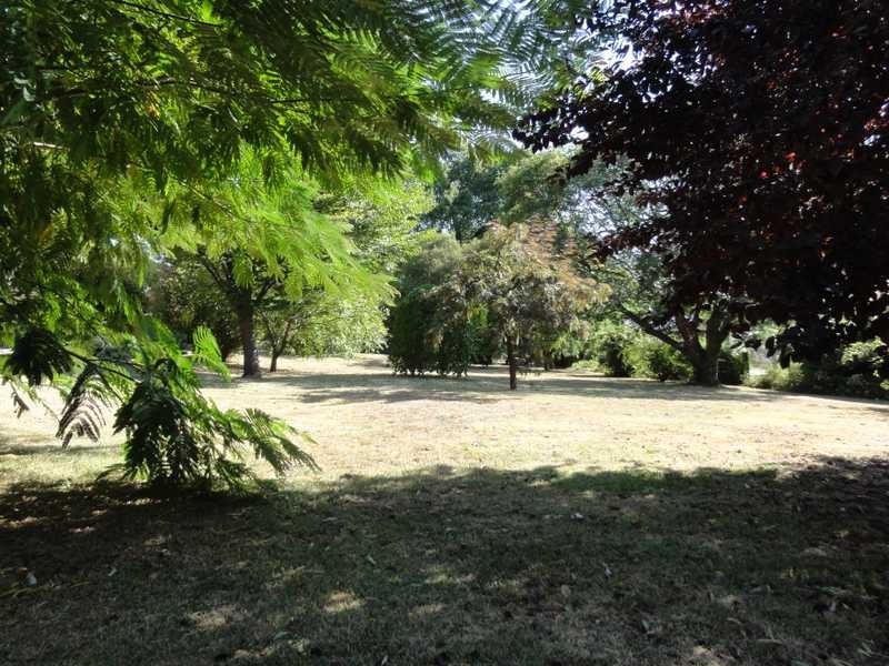 106 Lockhart Street, Adelong NSW 2729