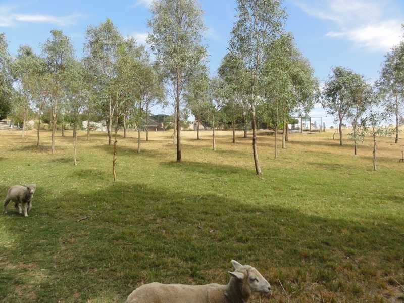 ‘Sunnyglen’ Audley Road, Jugiong NSW 2726