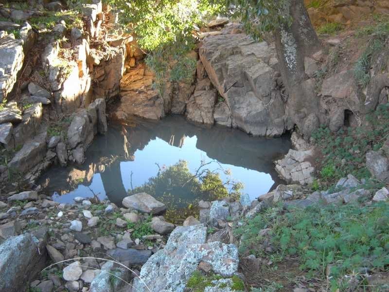 Tall Timbers Reno Road, Gundagai NSW 2722