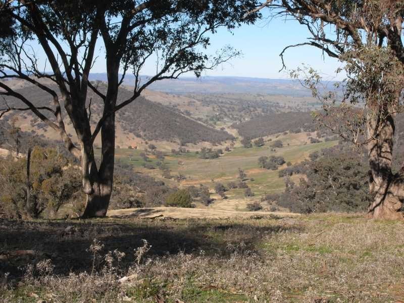 Tall Timbers Reno Road, Gundagai NSW 2722