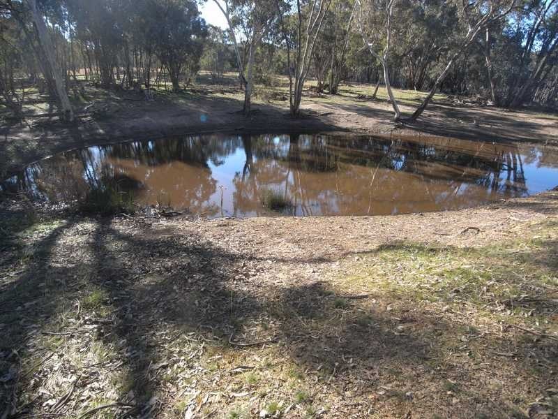 Tall Timbers Reno Road, Gundagai NSW 2722