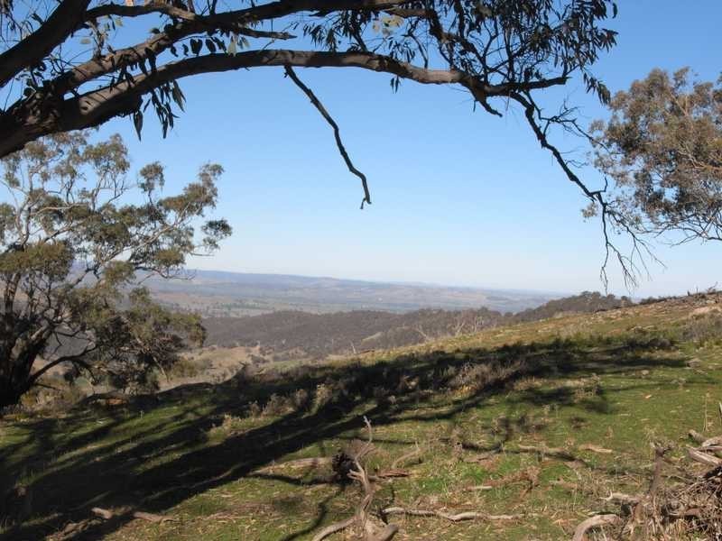 Tall Timbers Reno Road, Gundagai NSW 2722