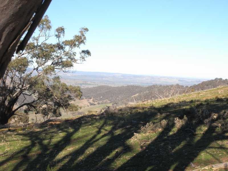 Tall Timbers Reno Road, Gundagai NSW 2722