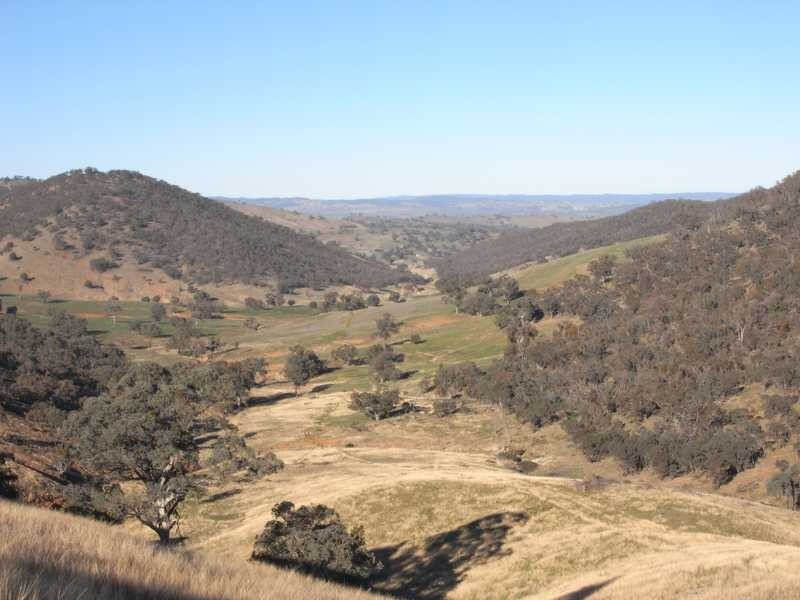 Tall Timbers Reno Road, Gundagai NSW 2722