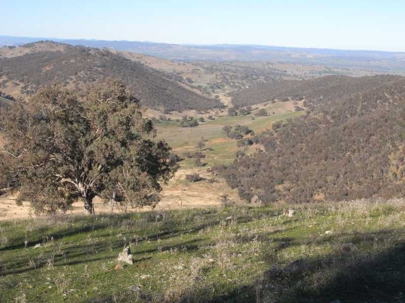 Tall Timbers Reno Road, Gundagai NSW 2722
