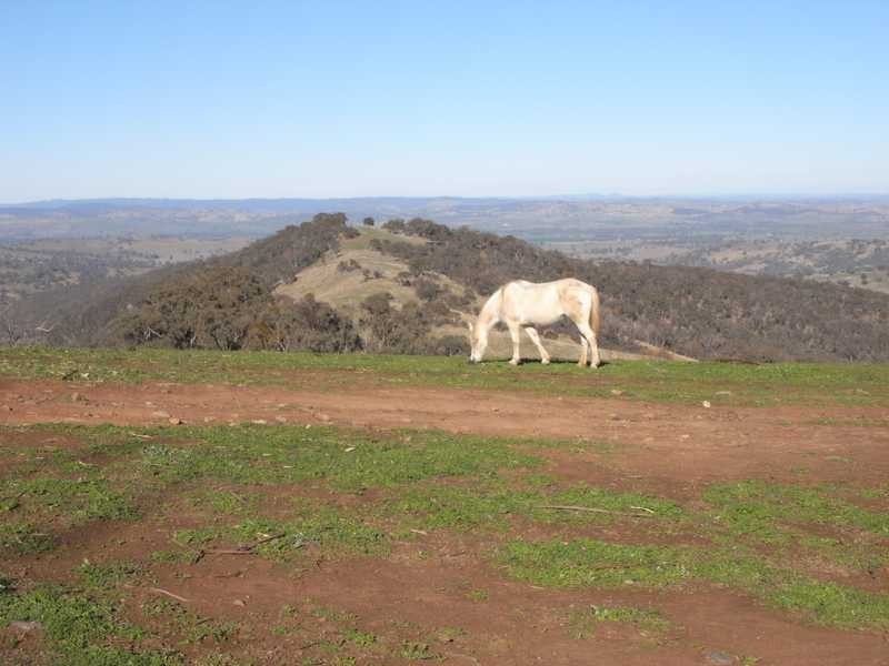 Tall Timbers Reno Road, Gundagai NSW 2722