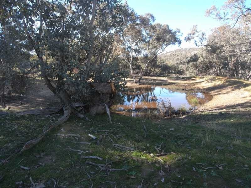Tall Timbers Reno Road, Gundagai NSW 2722