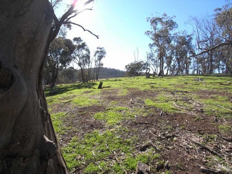 Tall Timbers Reno Road, Gundagai NSW 2722