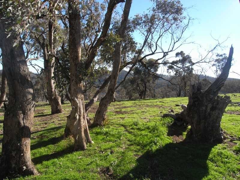 Tall Timbers Reno Road, Gundagai NSW 2722