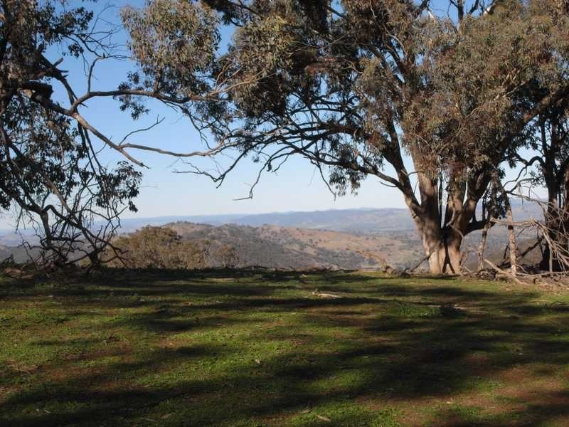 Tall Timbers Reno Road, Gundagai NSW 2722