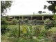 1398 Old Hume Highway, Tumblong NSW 2729
