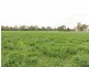 1398 Old Hume Highway, Tumblong NSW 2729