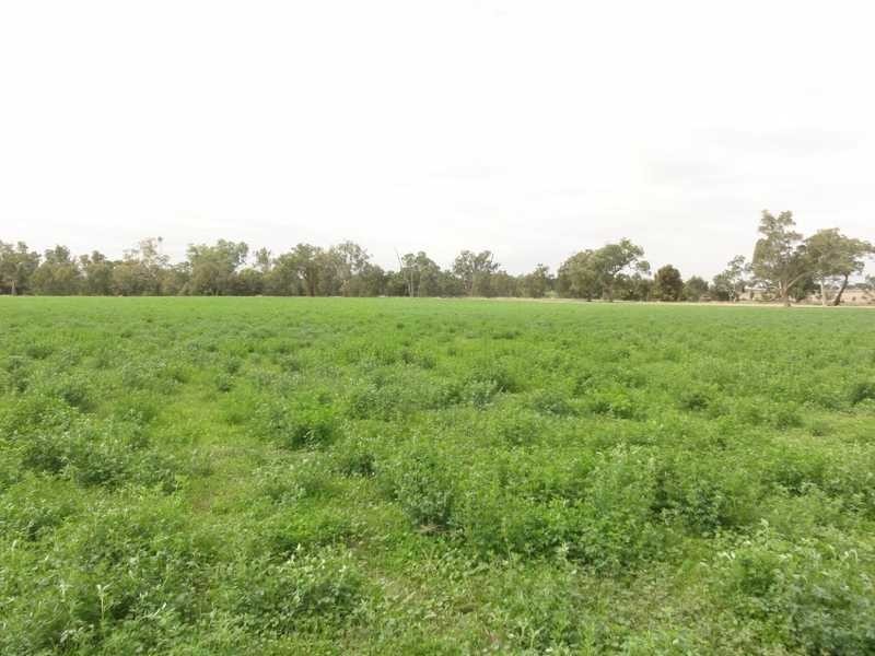 1398 Old Hume Highway, Tumblong NSW 2729