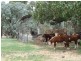 1398 Old Hume Highway, Tumblong NSW 2729