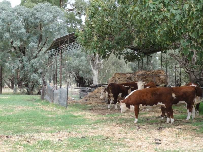 1398 Old Hume Highway, Tumblong NSW 2729