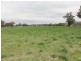 1398 Old Hume Highway, Tumblong NSW 2729