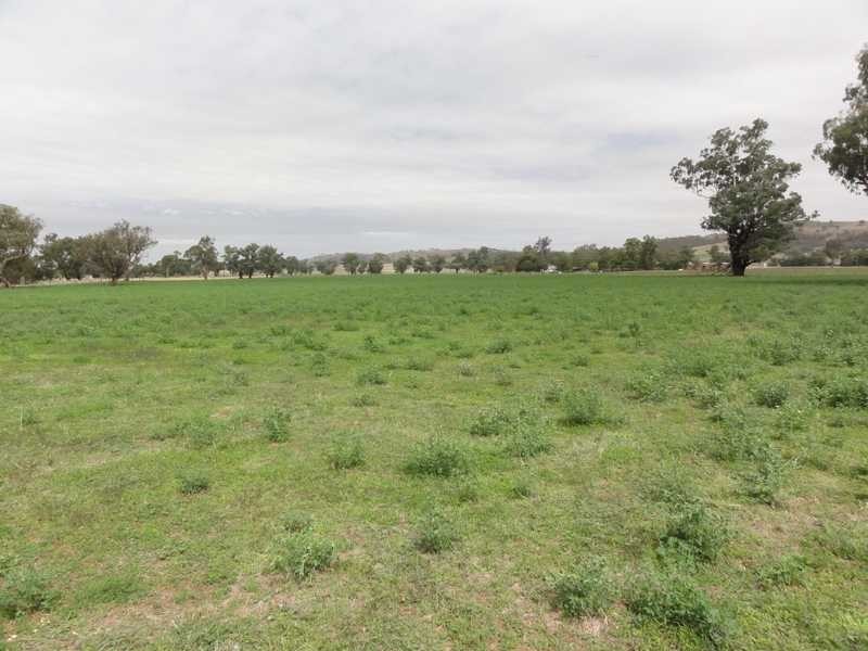 1398 Old Hume Highway, Tumblong NSW 2729