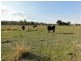 2421 Humula Road, Tarcutta NSW 2652