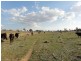 2421 Humula Road, Tarcutta NSW 2652