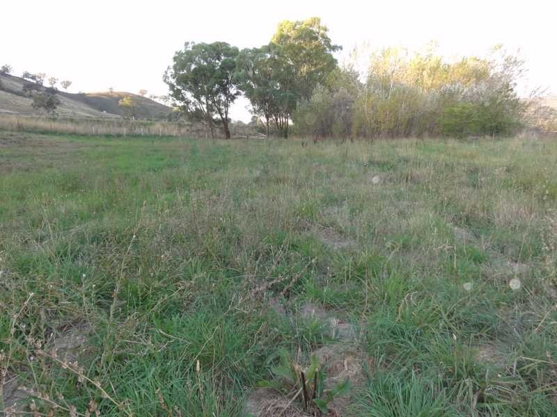 10 Tumblong Road, Tumblong NSW 2729