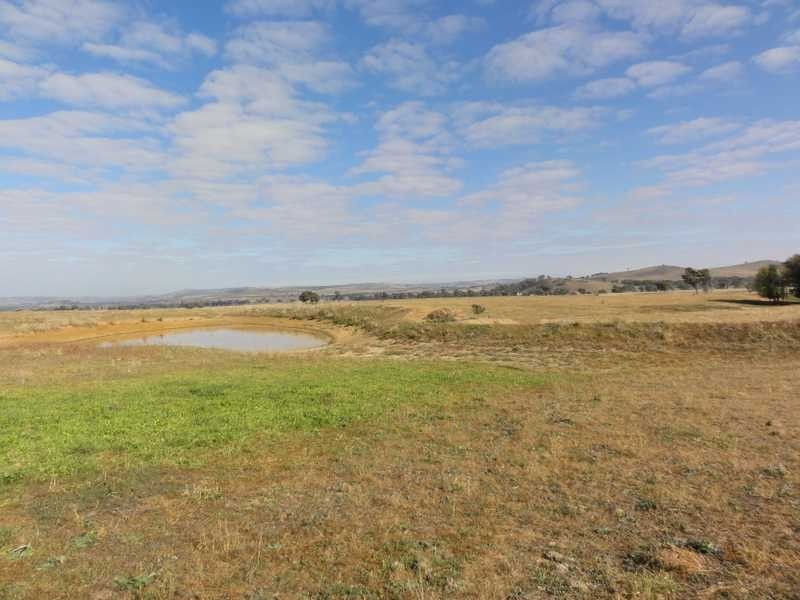 Greenbow Oak Hills Road, Nangus NSW 2722