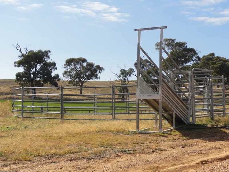 Greenbow Oak Hills Road, Nangus NSW 2722
