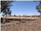 328 Sandy Falls Road, Coolac NSW 2727