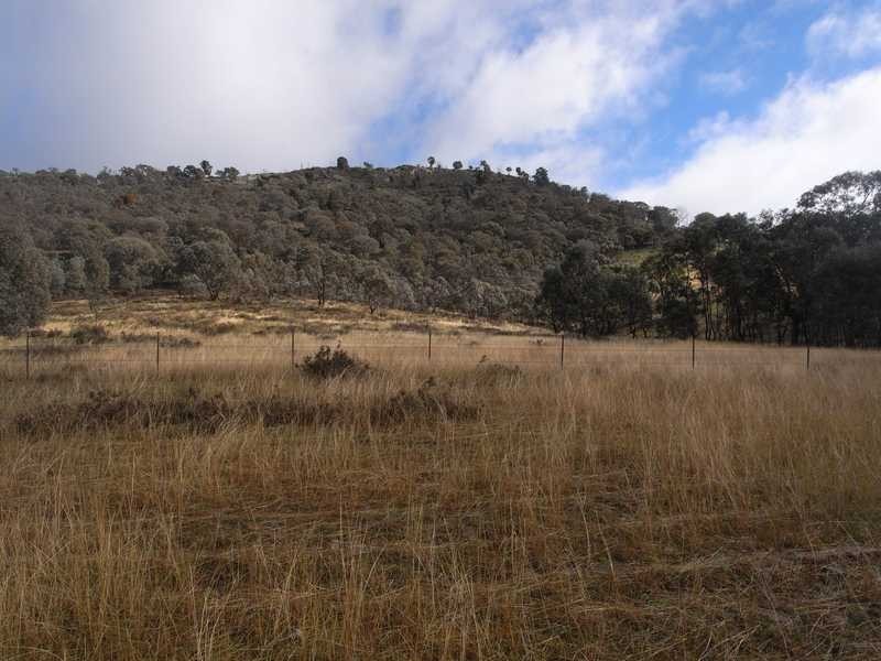 Yammalong Yammatree Road, Gundagai NSW 2722