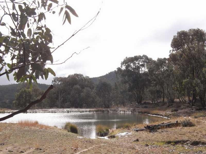Yammalong Yammatree Road, Gundagai NSW 2722