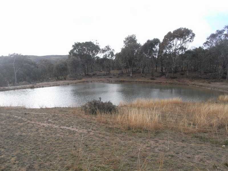 Yammalong Yammatree Road, Gundagai NSW 2722