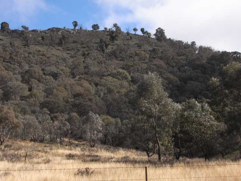 Yammalong Yammatree Road, Gundagai NSW 2722