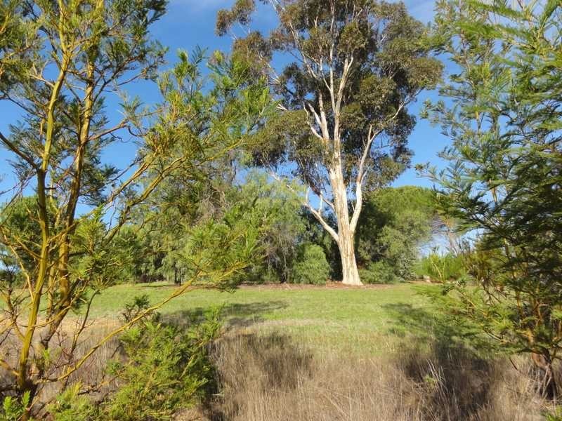 101 West Street, Gundagai NSW 2722