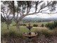 Dalkeith Homestead O’Briens Road, Gundagai NSW 2722