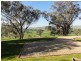 Dalkeith Homestead O’Briens Road, Gundagai NSW 2722