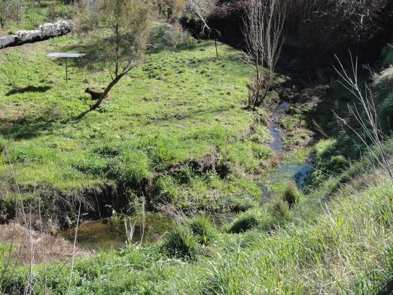 57 Tarrabandra Road, Gundagai NSW 2722