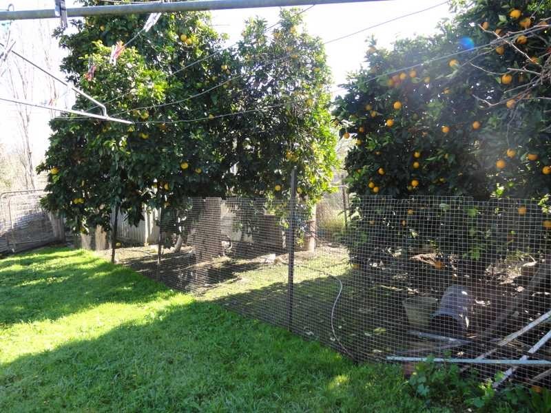 57 Tarrabandra Road, Gundagai NSW 2722