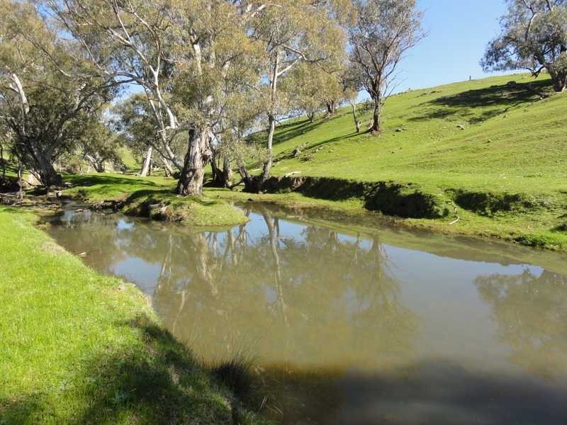 Lot/3 Yammatree Creek, Gundagai NSW 2722