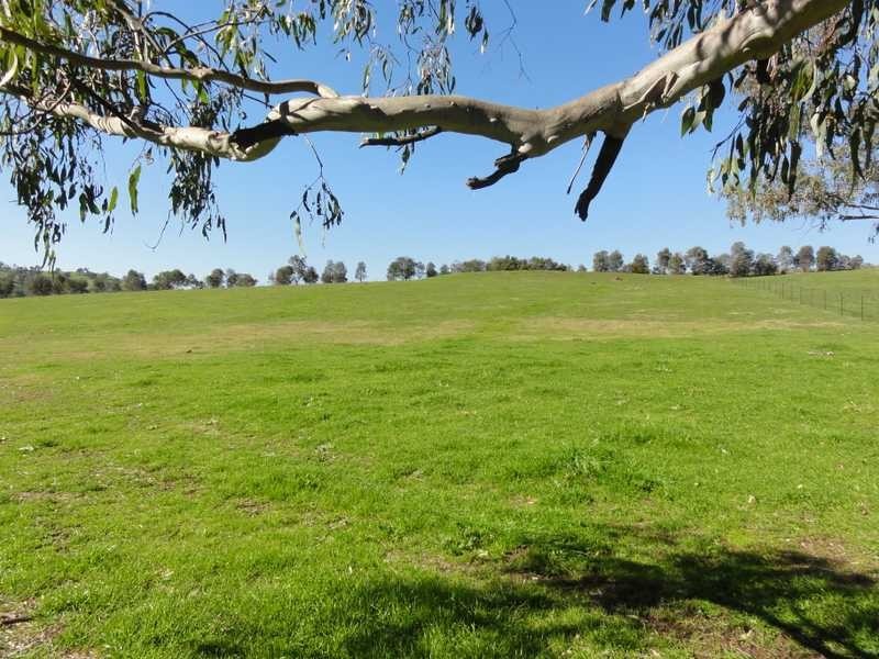 Lot/3 Yammatree Creek, Gundagai NSW 2722