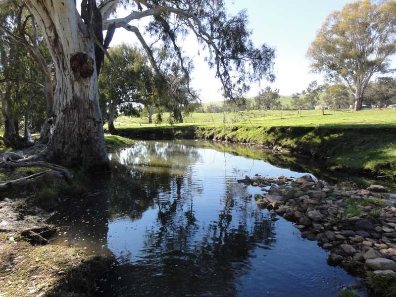 Lot/3 Yammatree Creek, Gundagai NSW 2722