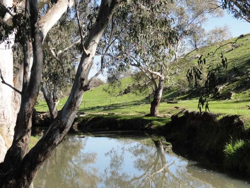 Lot/3 Yammatree Creek, Gundagai NSW 2722