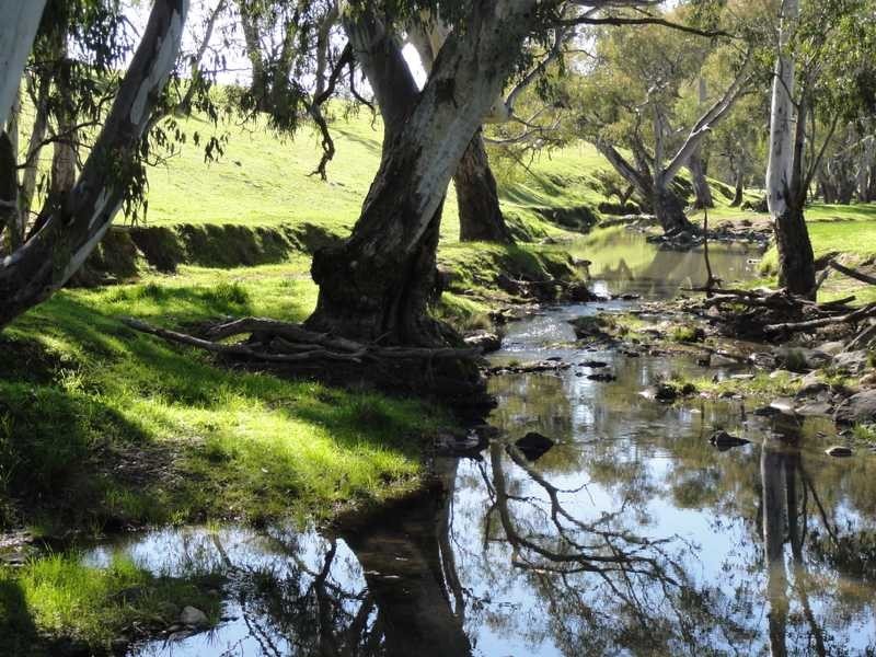 Lot/3 Yammatree Creek, Gundagai NSW 2722