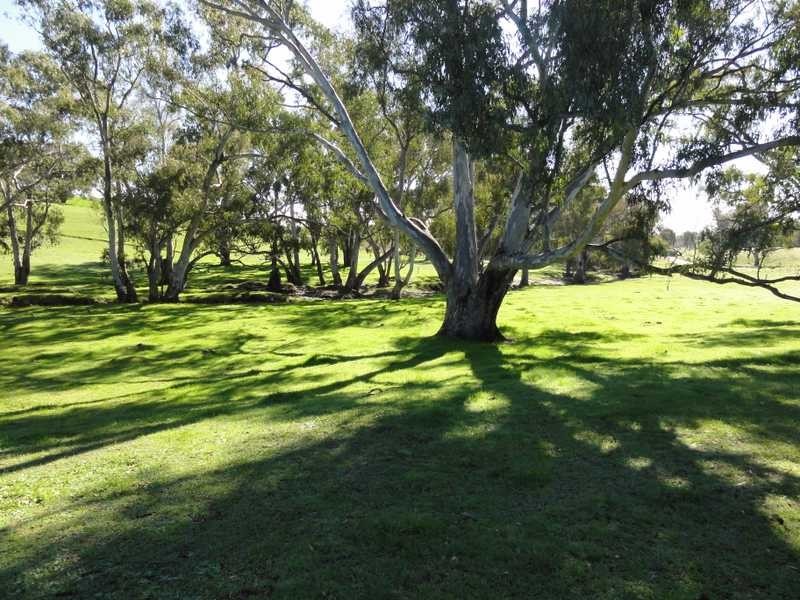 Lot/3 Yammatree Creek, Gundagai NSW 2722