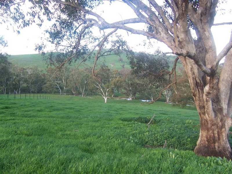 Lot/3 Yammatree Creek, Gundagai NSW 2722