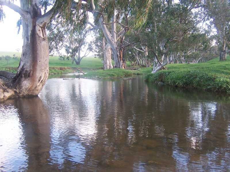 Lot/3 Yammatree Creek, Gundagai NSW 2722
