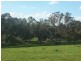 Lot/3 Yammatree Creek, Gundagai NSW 2722