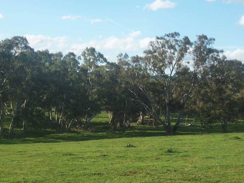 Lot/3 Yammatree Creek, Gundagai NSW 2722