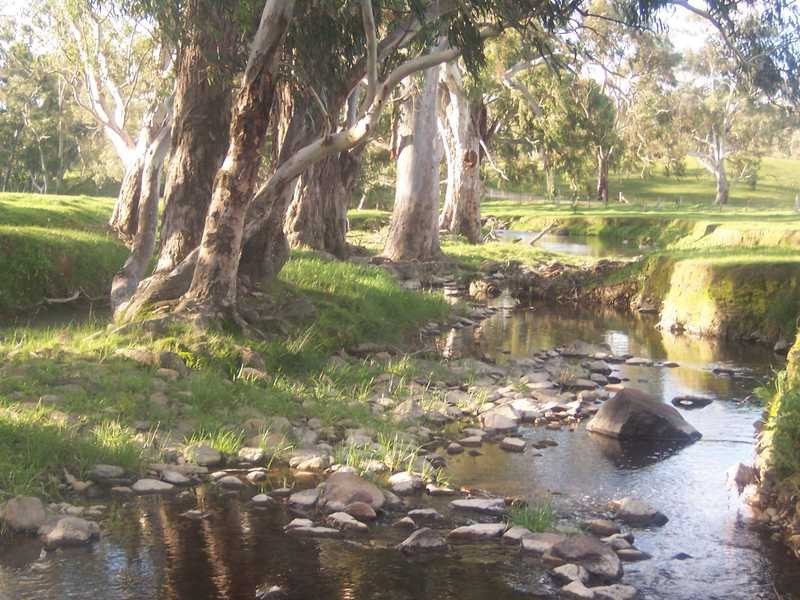 Lot/3 Yammatree Creek, Gundagai NSW 2722